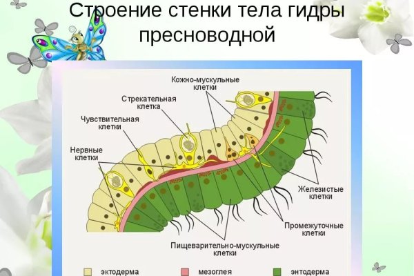 Кракен даркнет вход